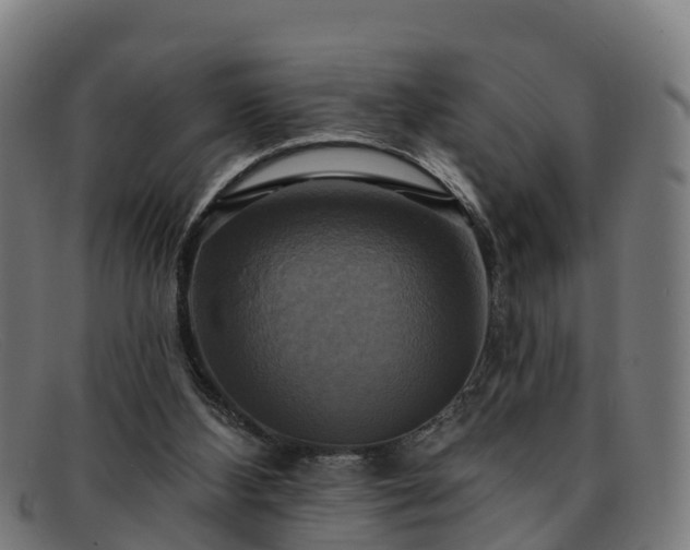 X0000091910108200709121525