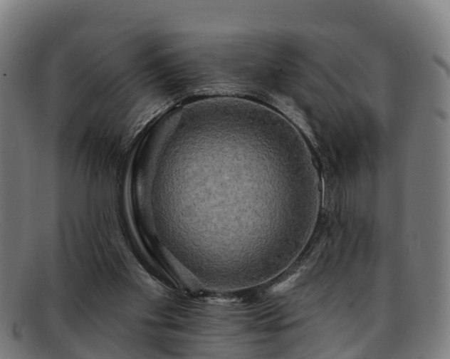 X0000091910109200709121525