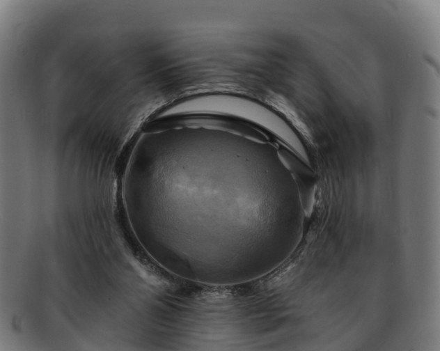 X0000091910110200709121525