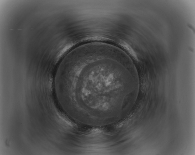 X0000091910111200709121525