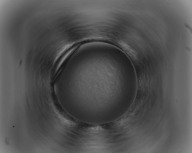 X0000091910112200709121525