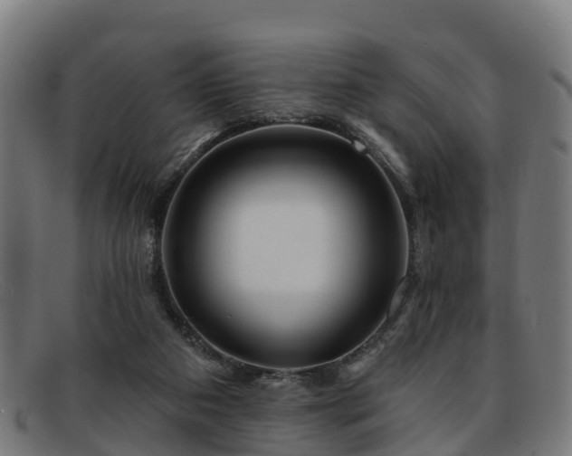 X0000091910113200709121525