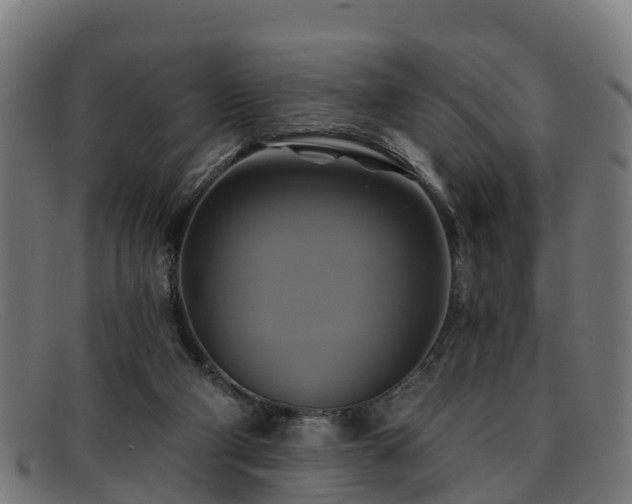 X0000091910114200709121525