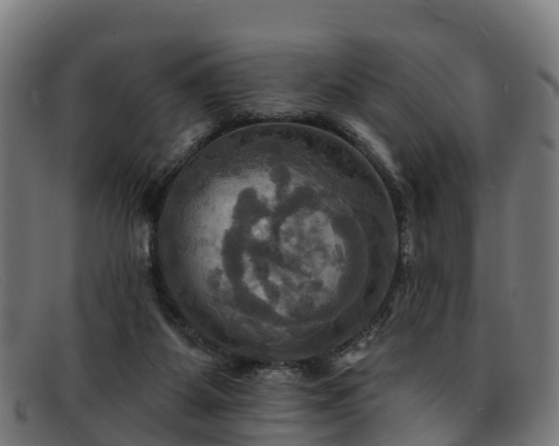 X0000091910115200709121525