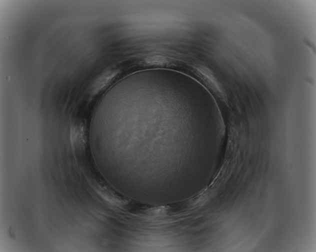 X0000091910116200709121525