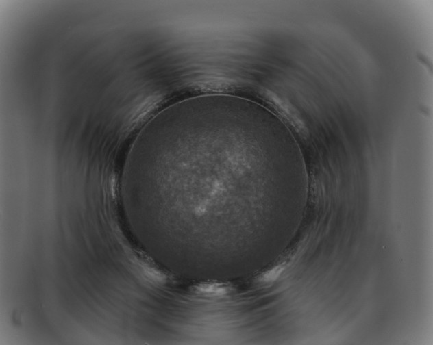 X0000091910117200709121525