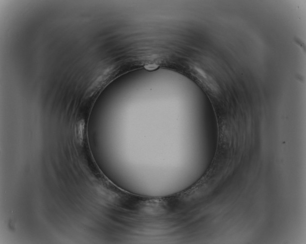 X0000091910118200709121525