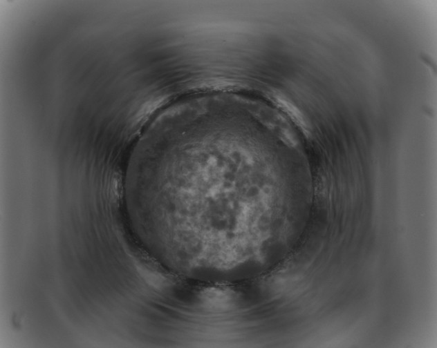 X0000091910119200709121525