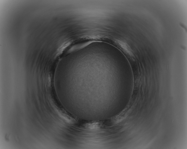 X0000091910120200709121525