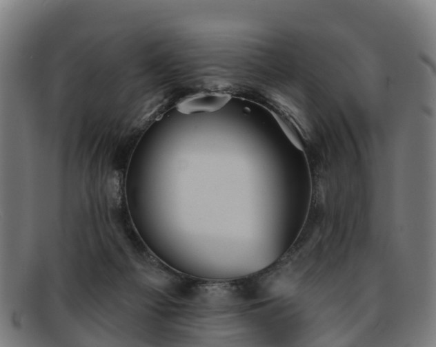 X0000091910121200709121525