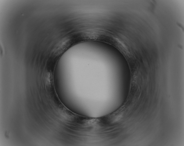 X0000091910122200709121525