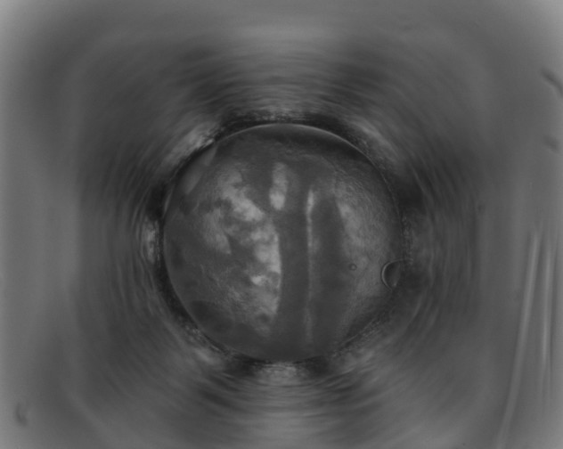 X0000091910123200709121525