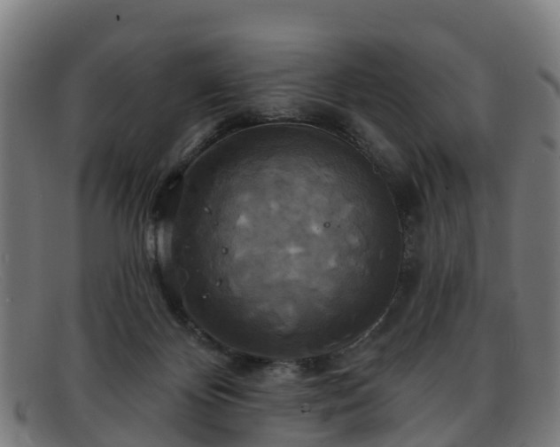 X0000091910124200709121525