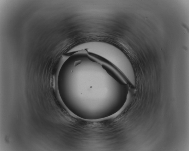 X0000091910125200709121525