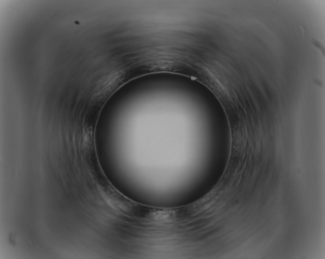 X0000091910126200709121525