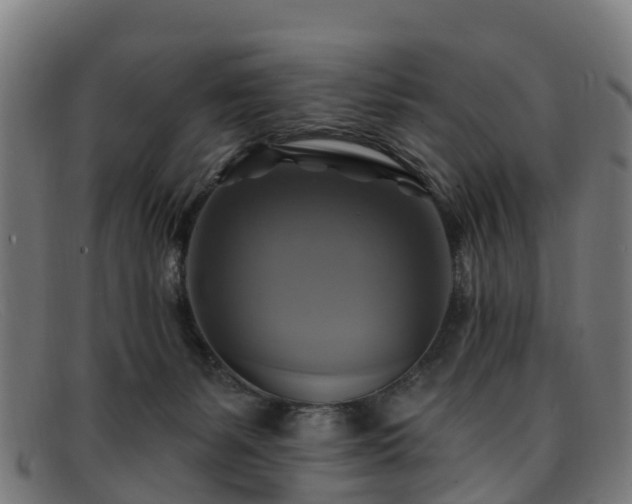 X0000091910127200709121525