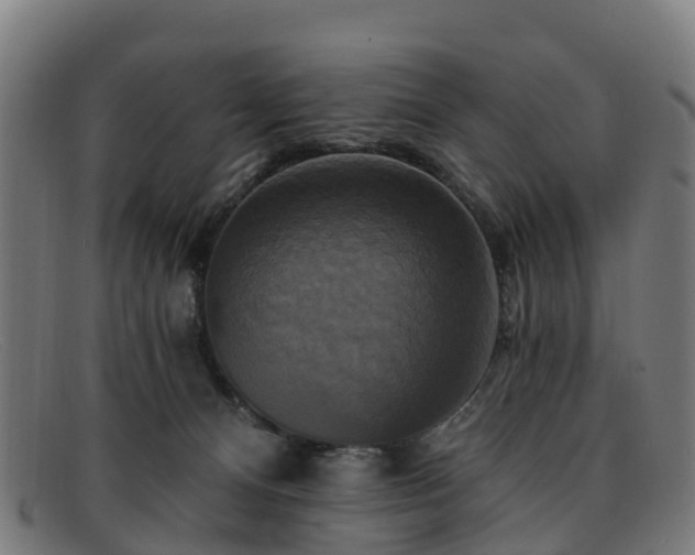 X0000091910128200709121524