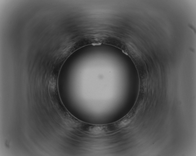 X0000091910129200709121524