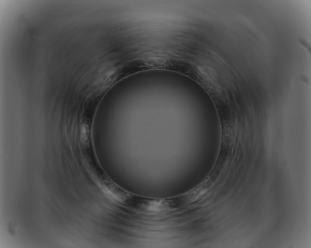 X0000091910130200709121524