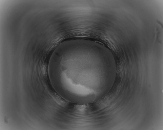 X0000091910131200709121524