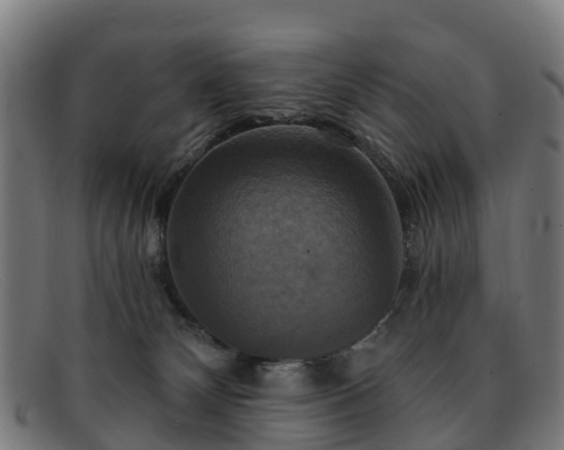 X0000091910132200709121524