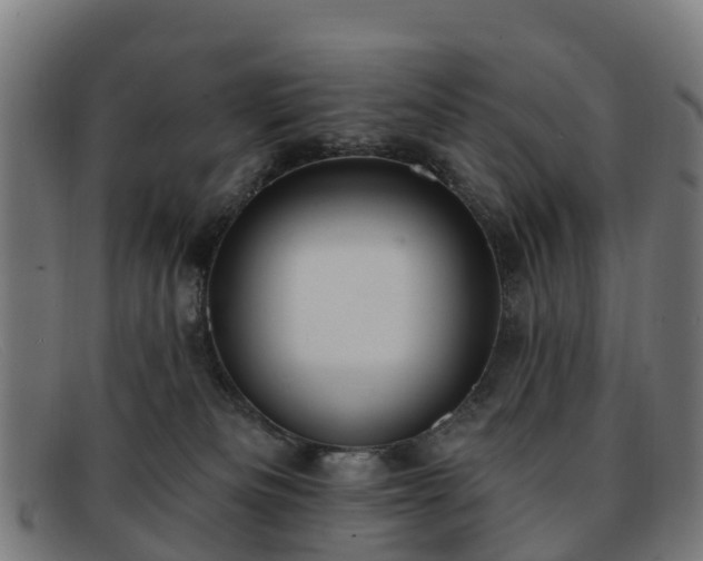 X0000091910133200709121524