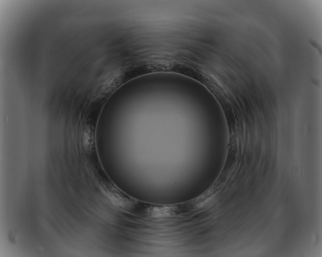 X0000091910134200709121524