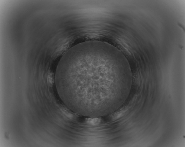 X0000091910135200709121524