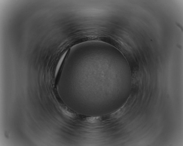 X0000091910136200709121524