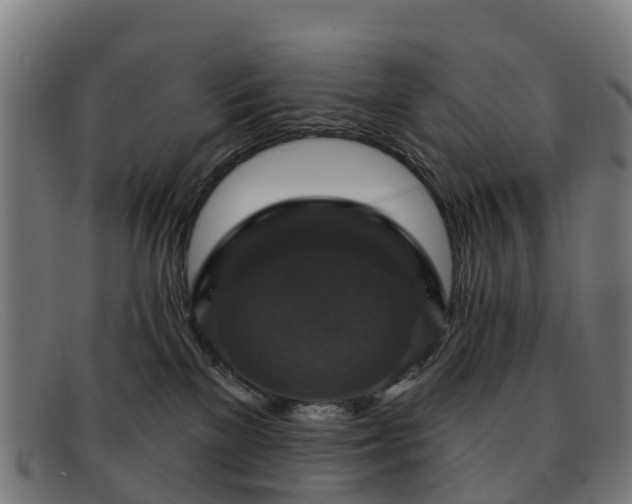 X0000091910137200709121524