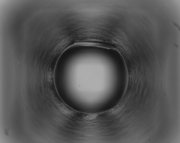 X0000091910138200709121524