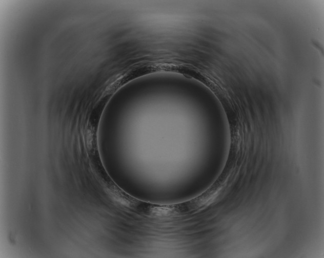 X0000091910139200709121524