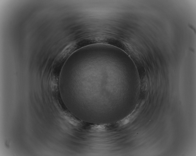 X0000091910140200709121524