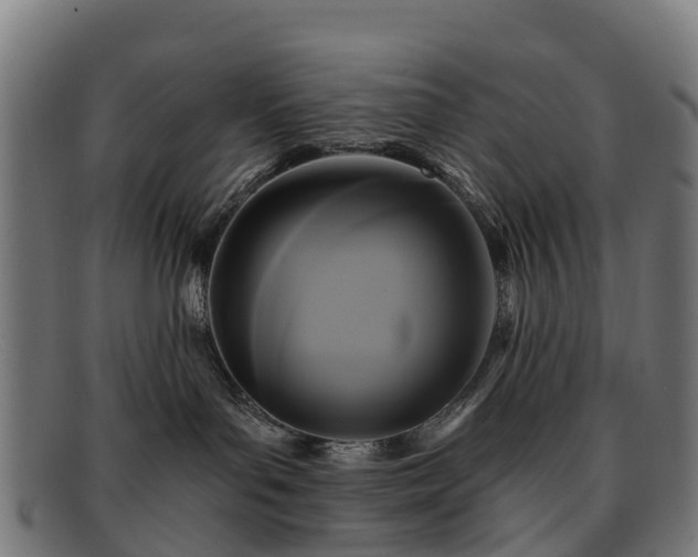 X0000091910143200709121524