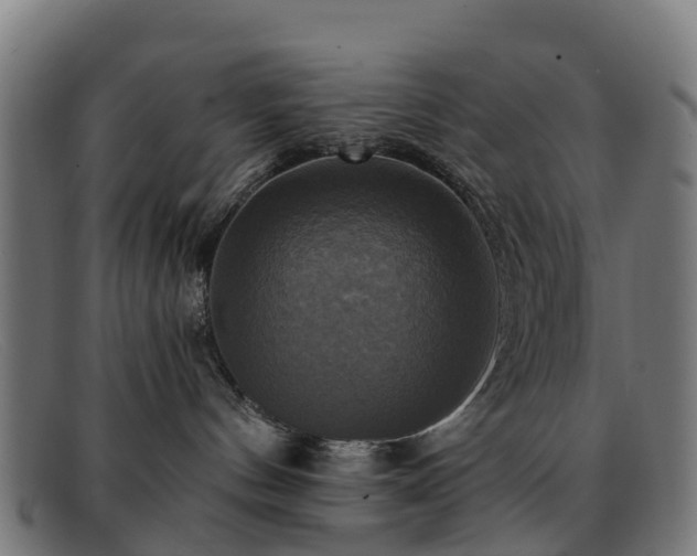 X0000091910144200709121524