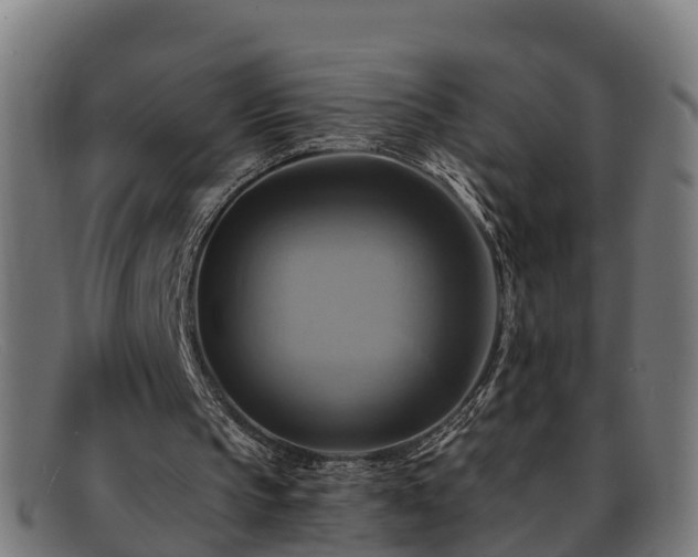 X0000091910145200709121524