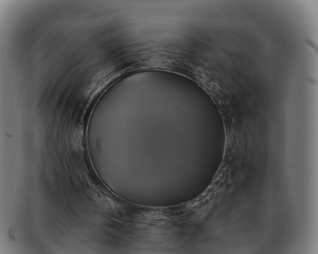 X0000091910146200709121524