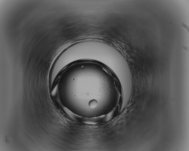 X0000091910148200709121524