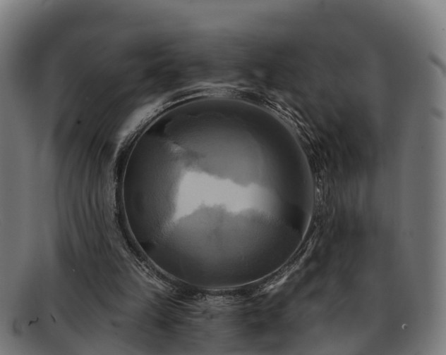 X0000091910149200709121524