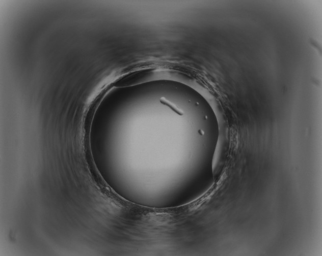 X0000091910150200709121524