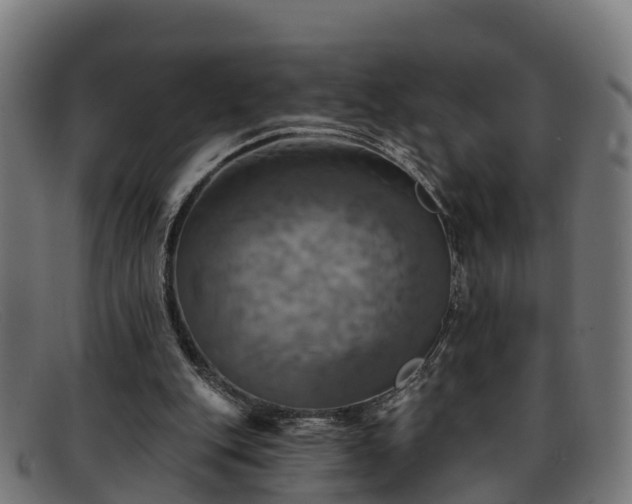 X0000091910151200709121524