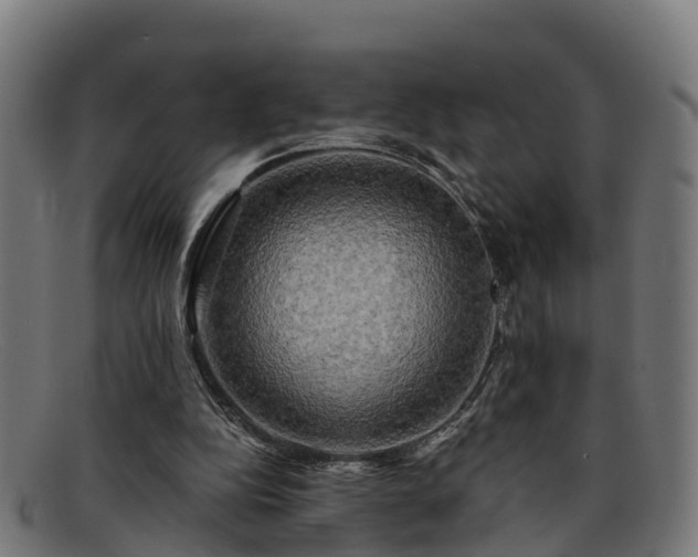 X0000091910152200709121524