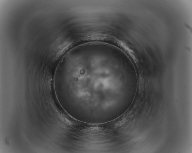 X0000091910153200709121524