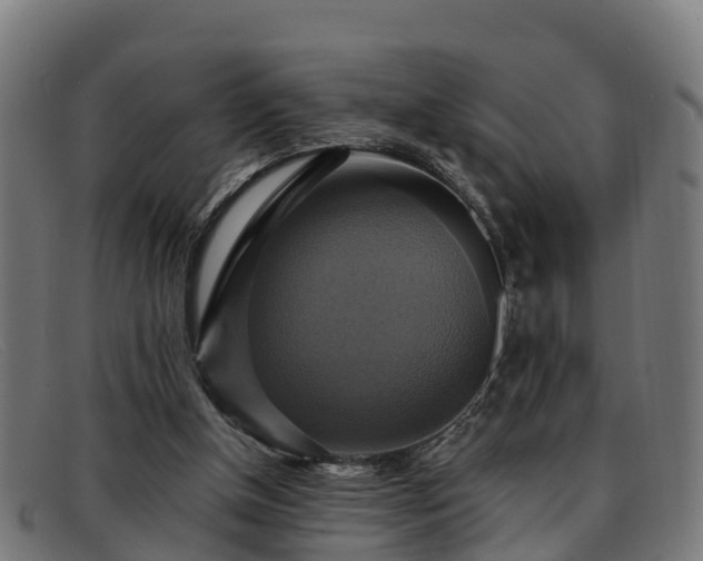 X0000091910154200709121524