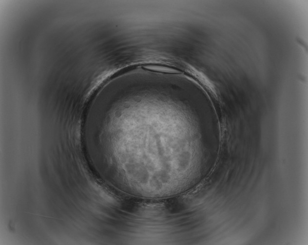 X0000091910155200709121524