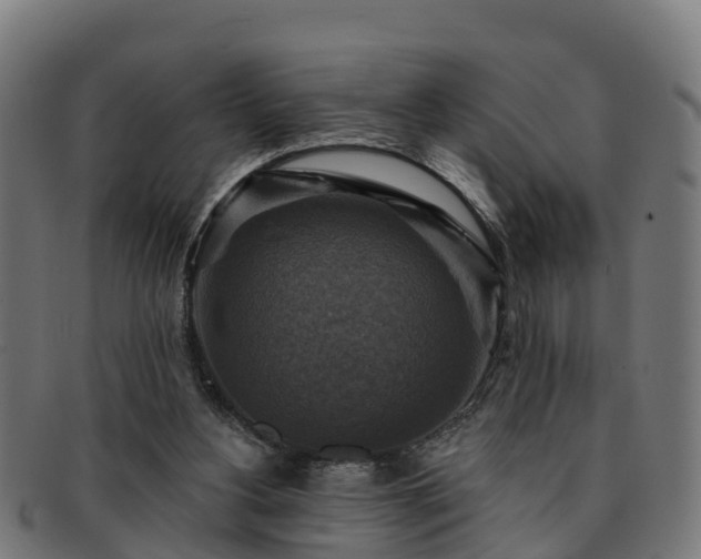 X0000091910156200709121524