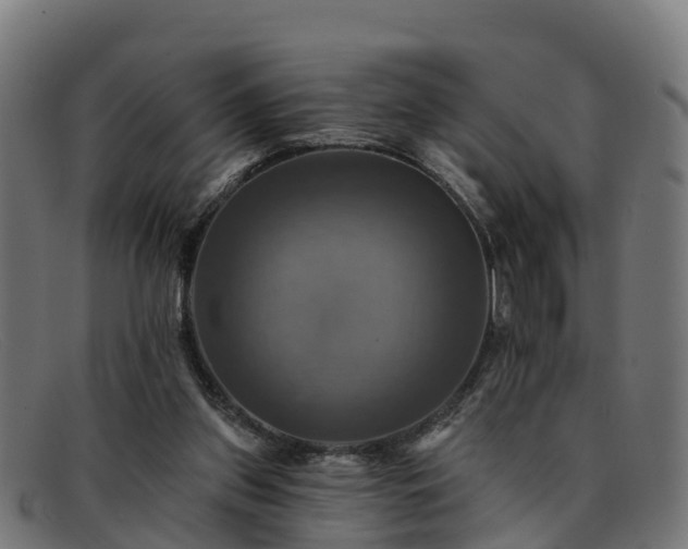 X0000091910157200709121524