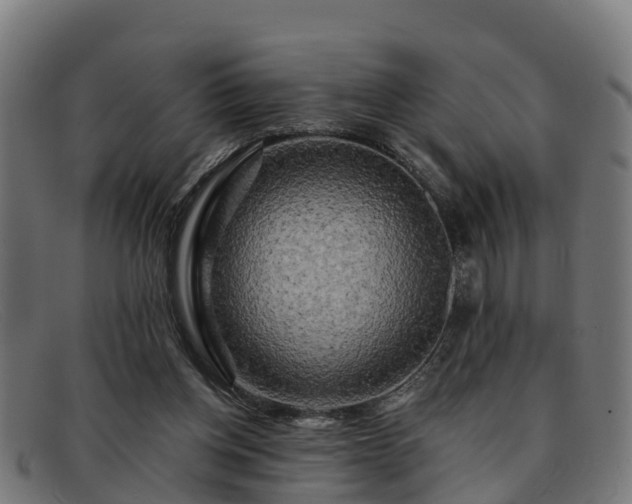 X0000091910158200709121524