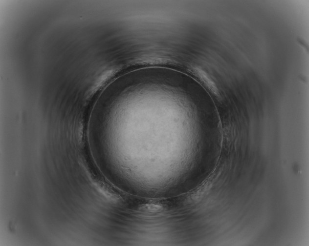 X0000091910159200709121524