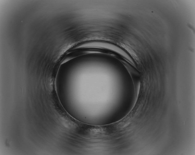 X0000091910160200709121524